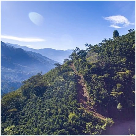 DeLonghi EN 267.WAE Nespresso CitiZ & Milk Kapsel-Automat Cremeweiß 4 DeLonghi EN 267.WAE Nespresso CitiZ & Milk Kapsel-Automat Cremeweiß – Bild 4